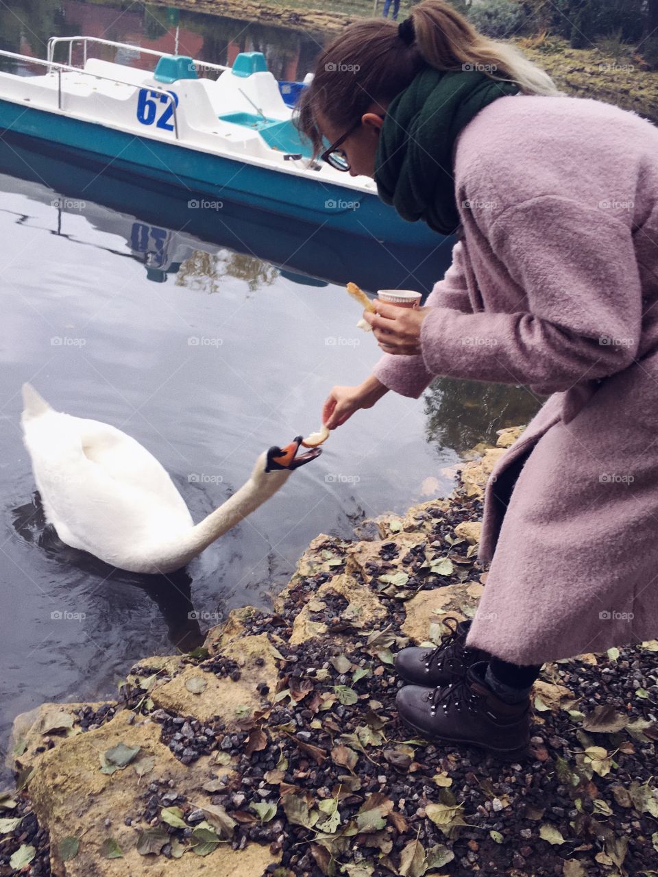 Feeding one hungry swan.