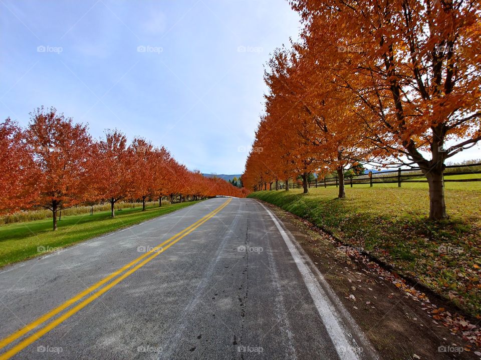 the road leading to Ohiopyle, PA