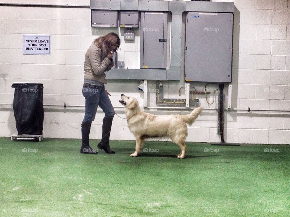 Zoe at ringcraft class