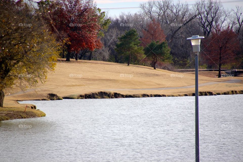 Park in December