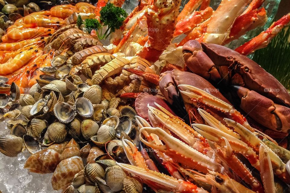 Close-up of seafood