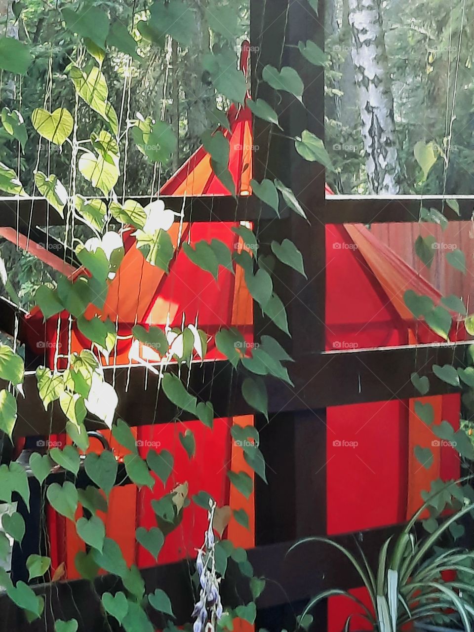 sunlit kids' red tent  behind folliage