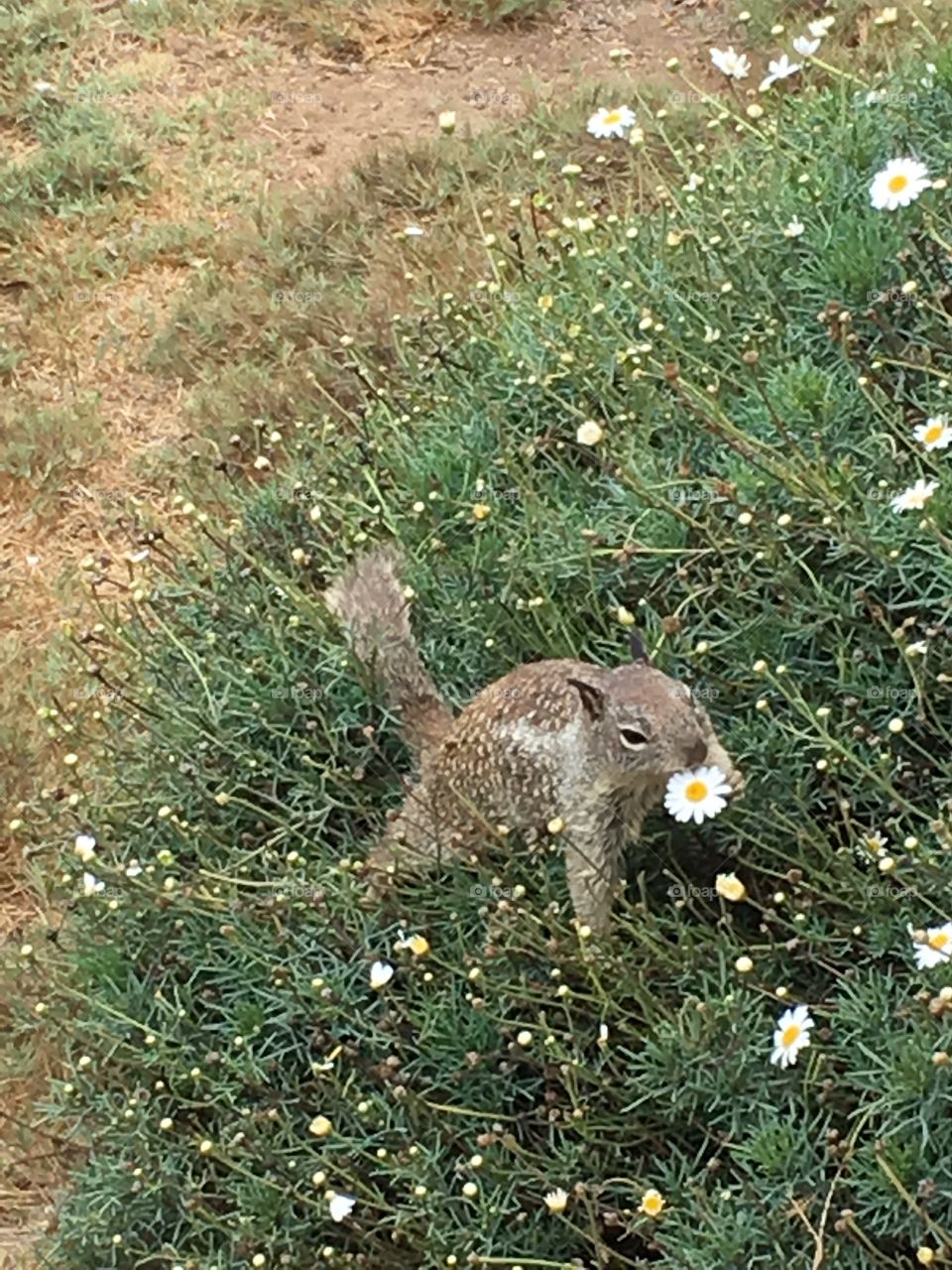 Enjoying the local flowers!
