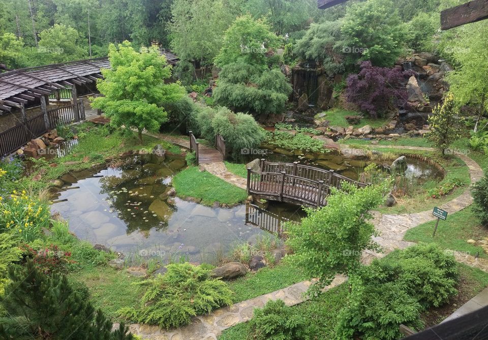 Water, Garden, Bridge, Tree, Travel