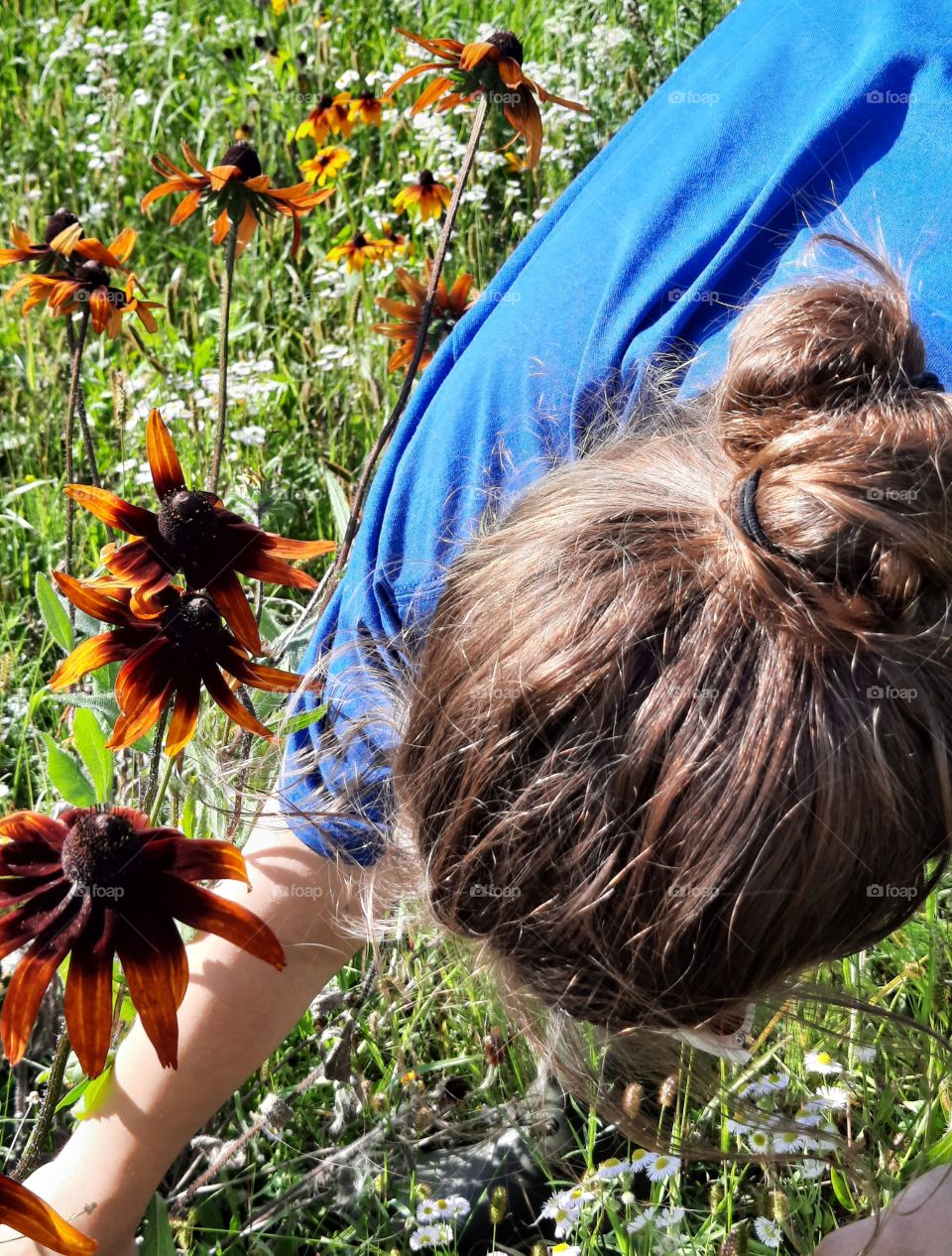 picking meadow flowers