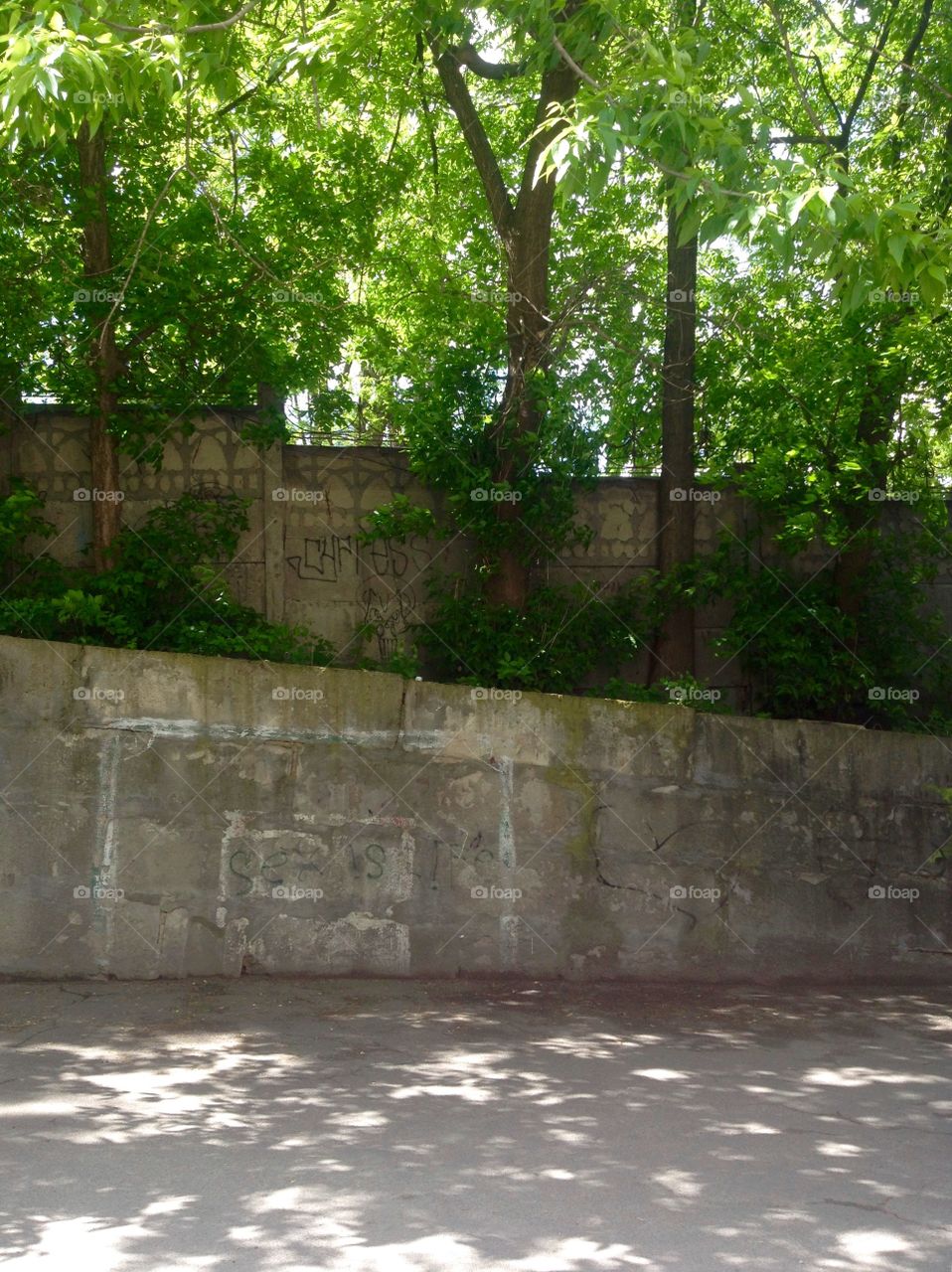 Wall and trees