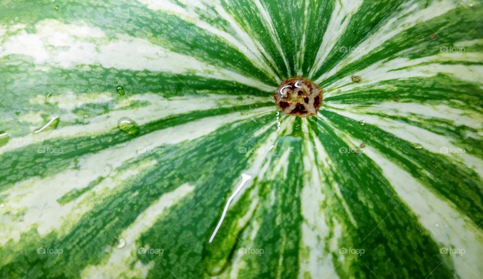 Watermelon from Peru