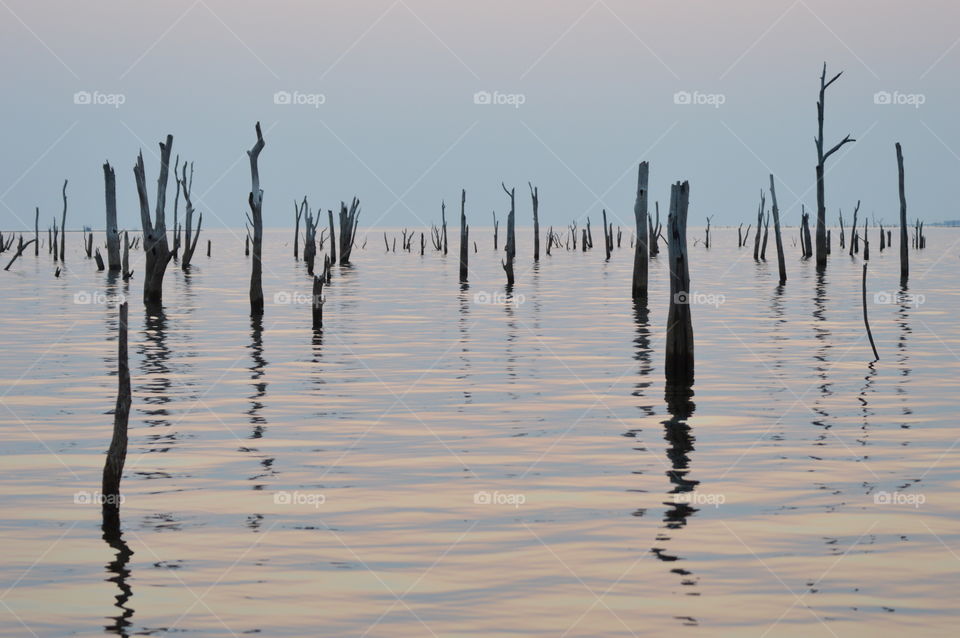 Water, Dawn, Lake, Sunset, Landscape
