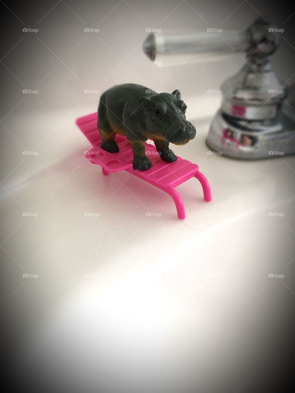 Hippo relaxing sink-side