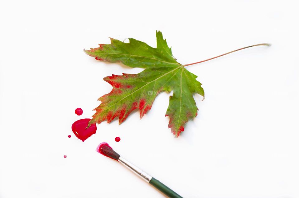 Multi-colored paints