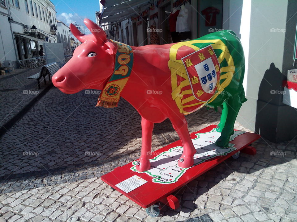 Portuguese cow