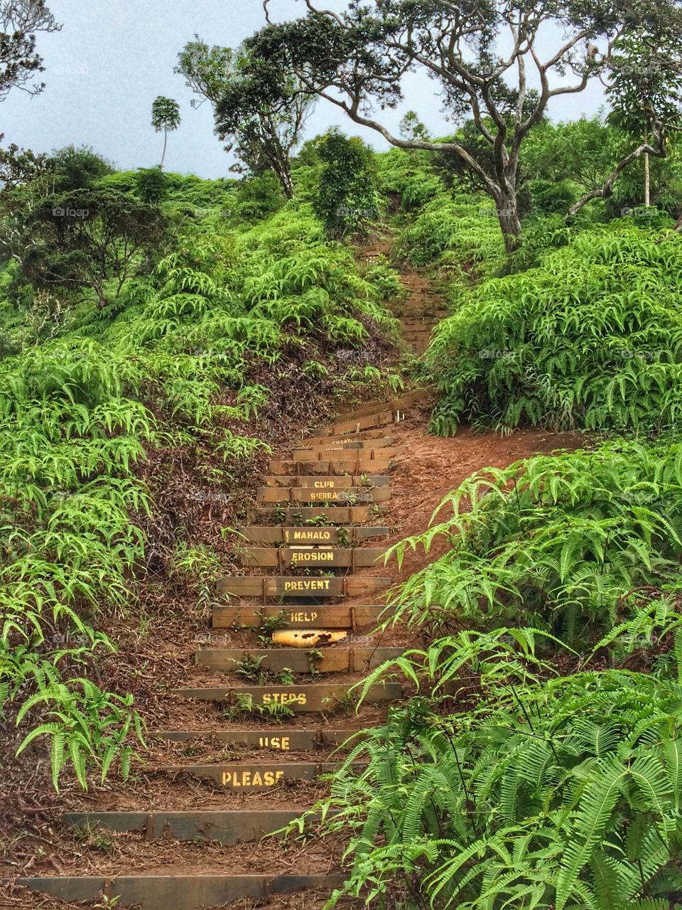 Peaceful hike 