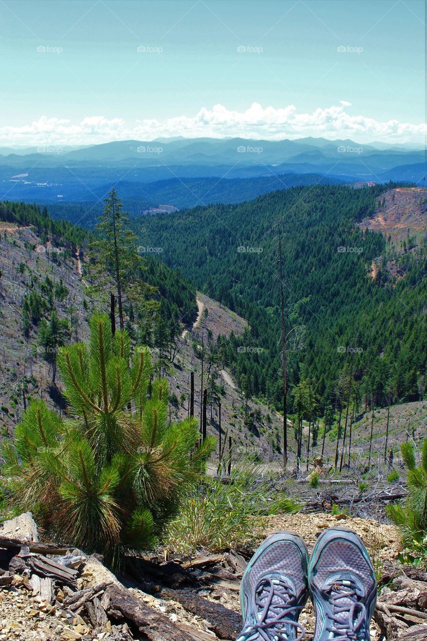 Mountains stretching the distance