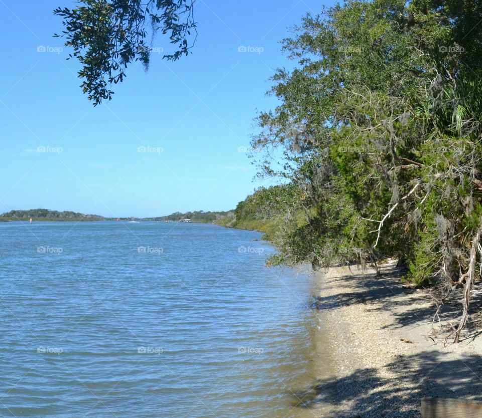 River and riverbank with trees and clear blue sky