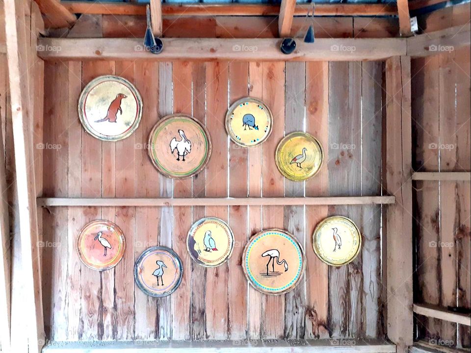 plates with pictures of animals - circles