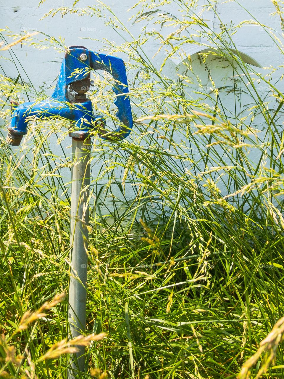 Blue water pump