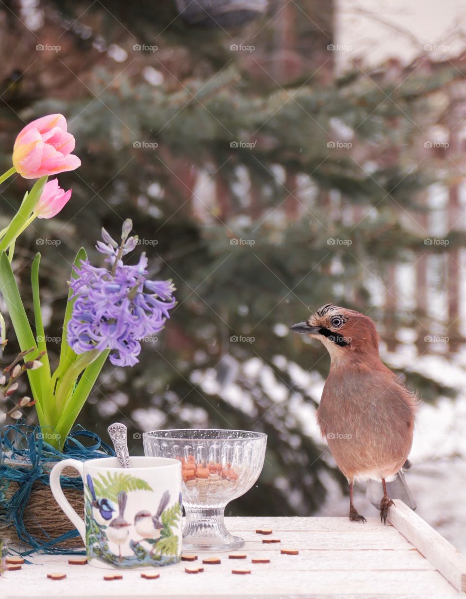 Jay bird in still life with flowers