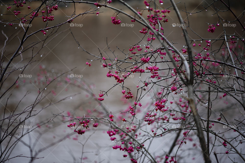 Autumn nature