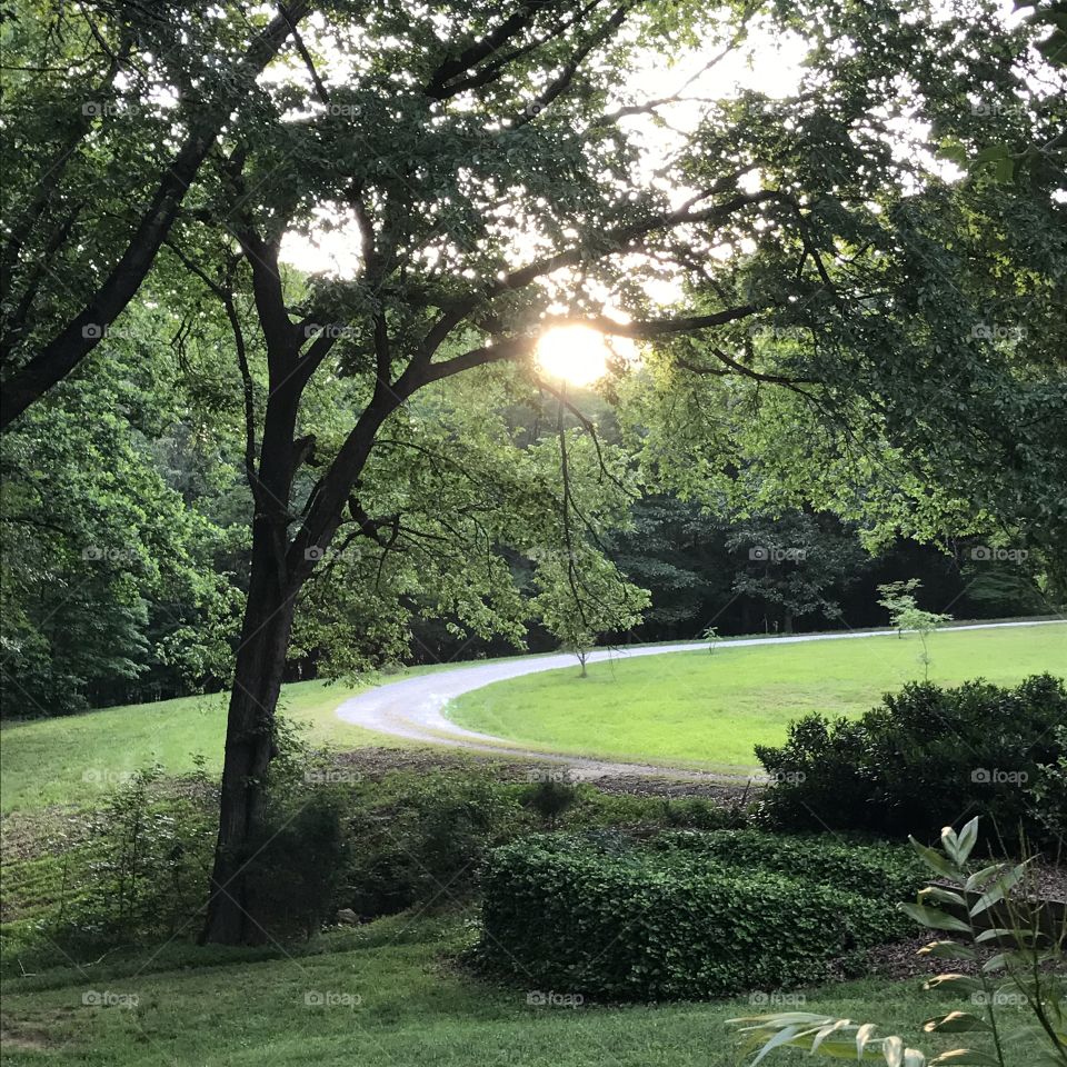 A trail in North Carolina.