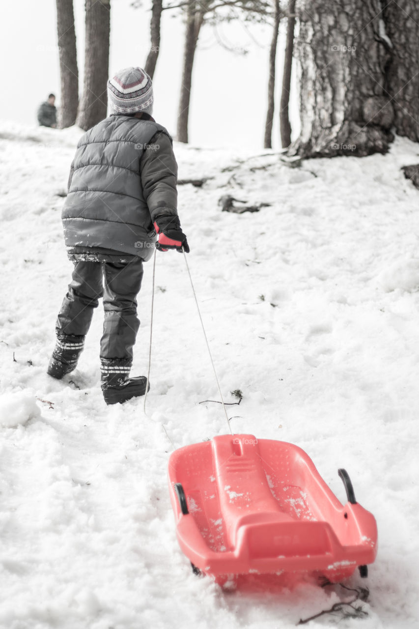 Boy pulling sled on snowy landscape