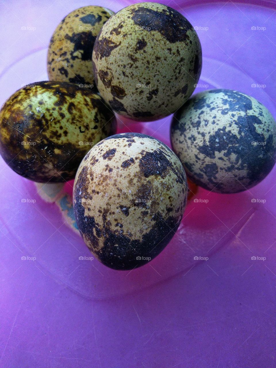 Quail eggs