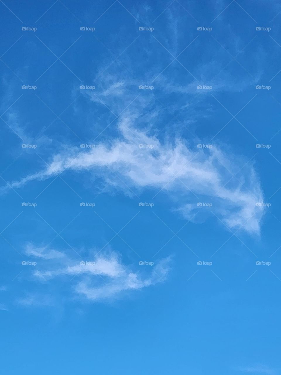 Dragon Cloud