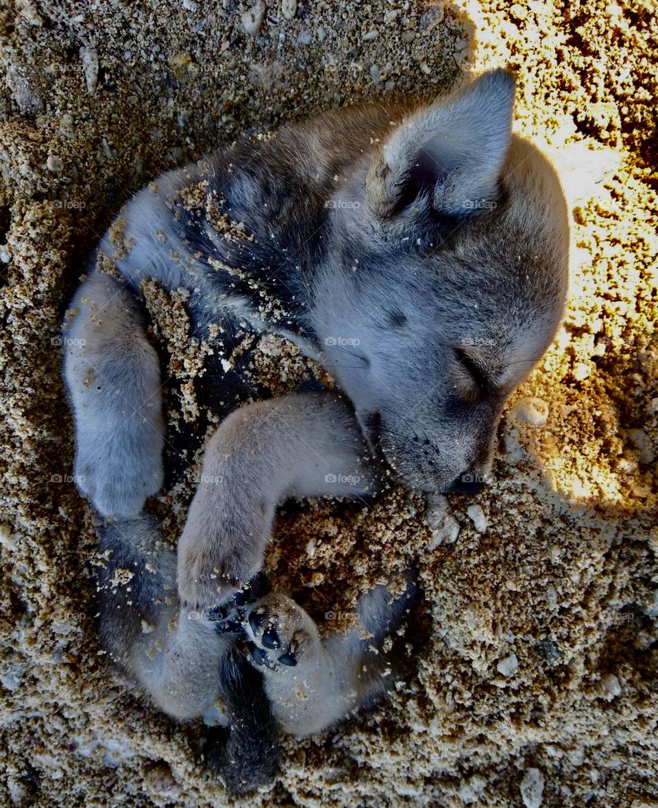 Sleeping be like😂