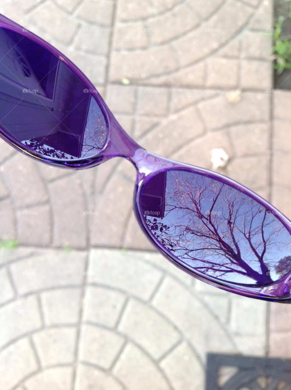winter pretty glasses purple by chickletchic