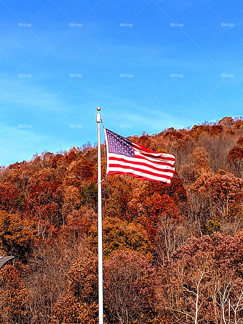 flag in the fall