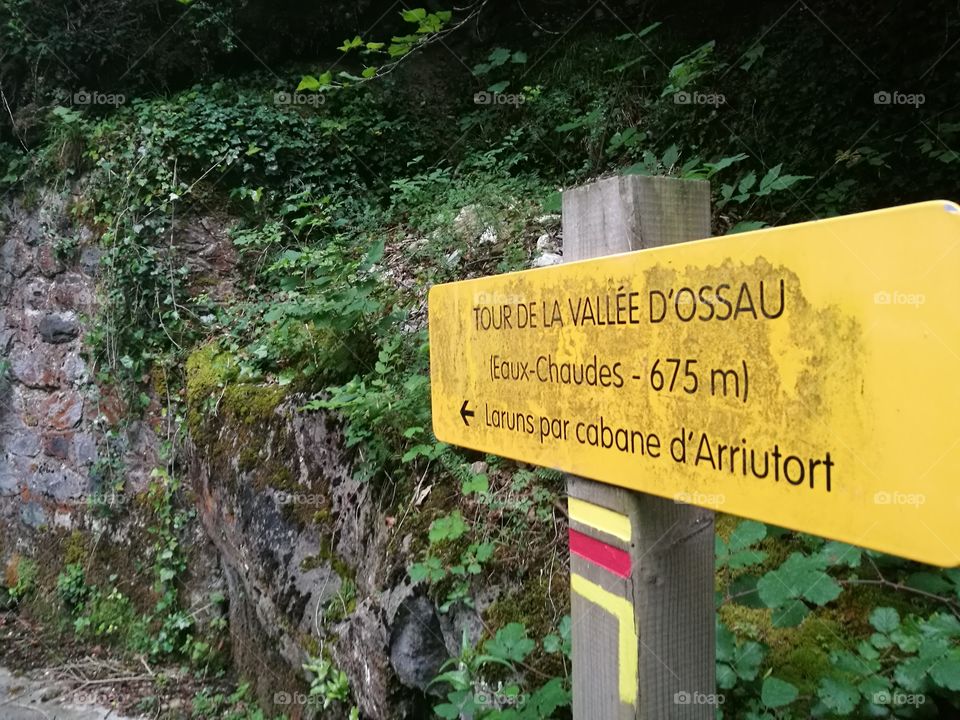 No Person, Signal, Outdoors, Wood, Road