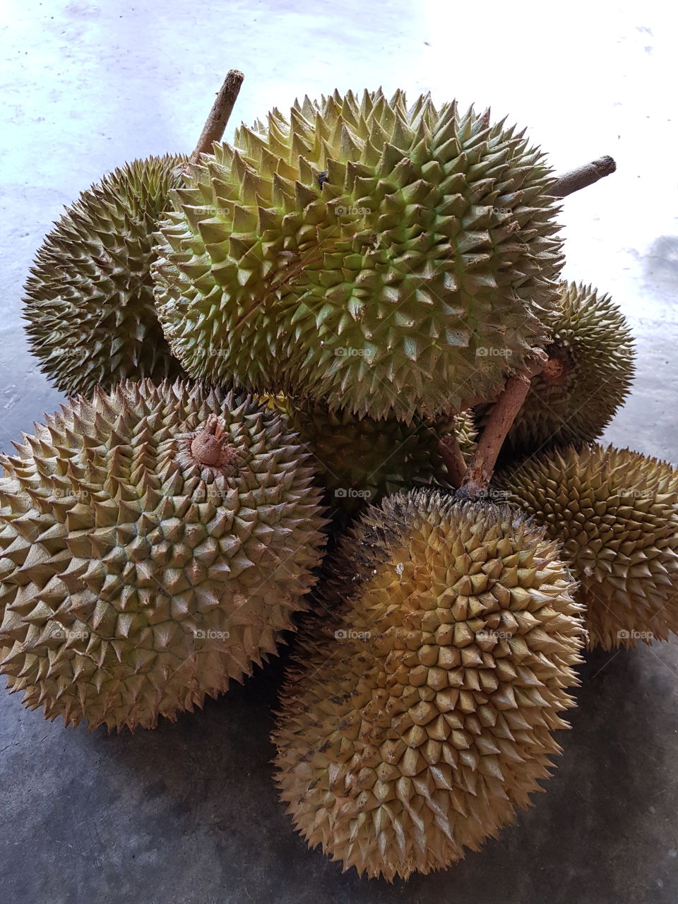 Durian