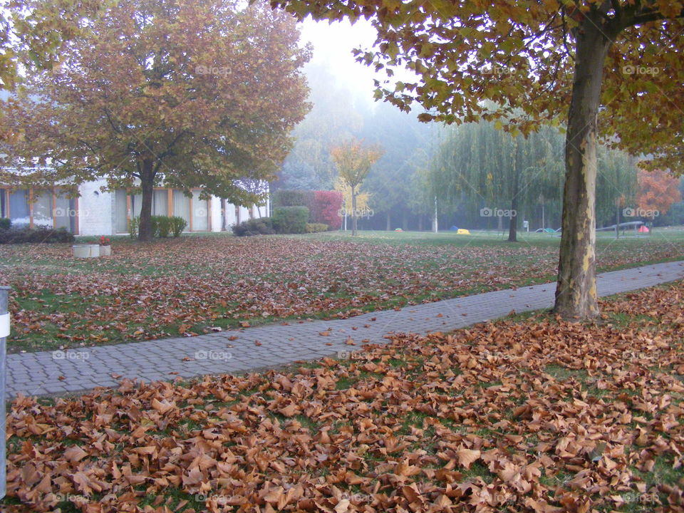 Autumn parks