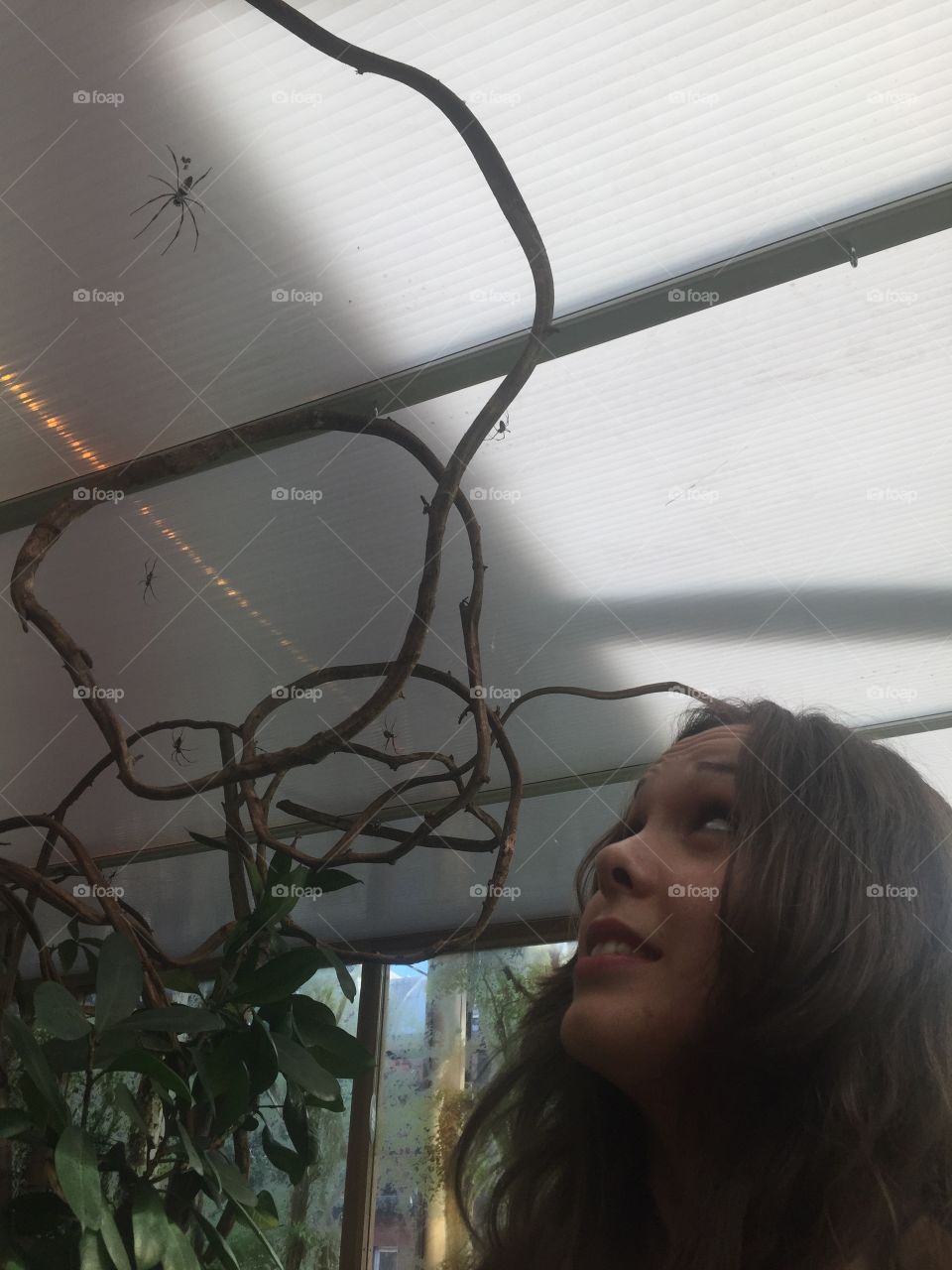 Spider sanctuary. London zoo, fear of spiders, facing my fear. Extremely scared