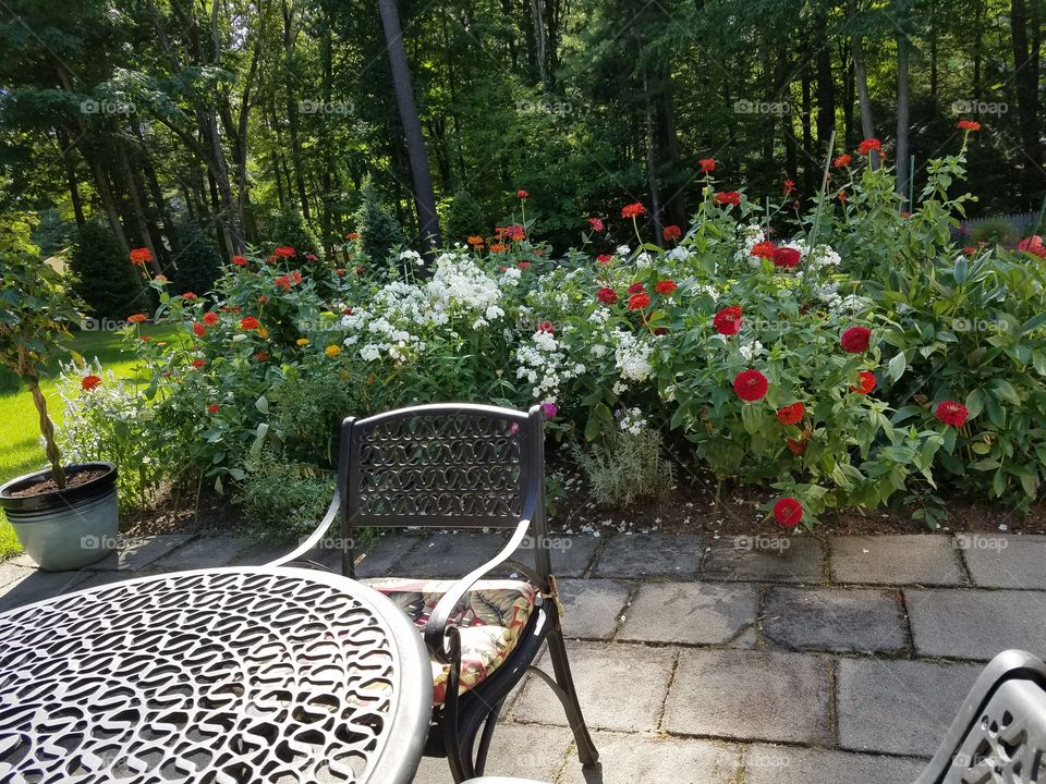 Flower, Garden, No Person, Seat, Backyard