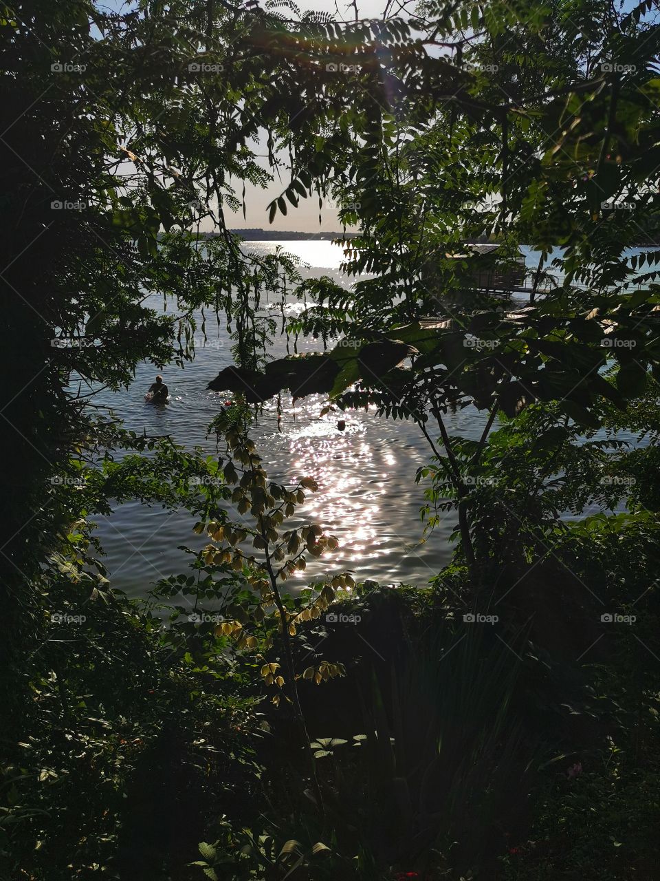 Sunset sky mood clouds moody nature greens wild outdoor outside joy happy