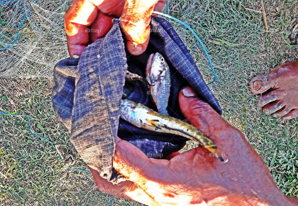 fisherman hand with some fish