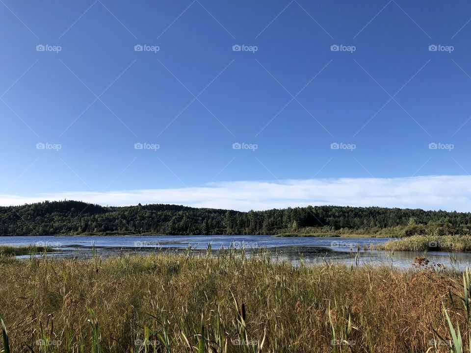 Drumlins - Algonquin Provincial Park, Ontario