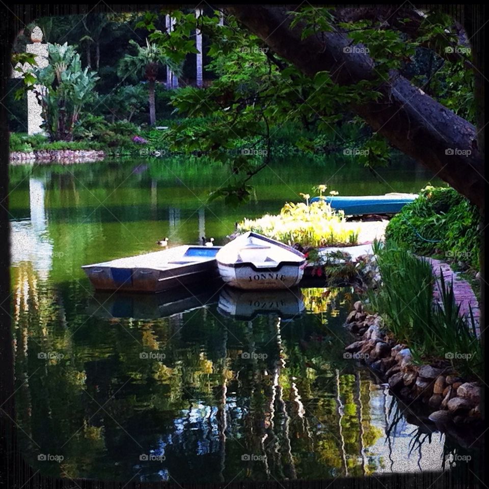 Tranquil Pond