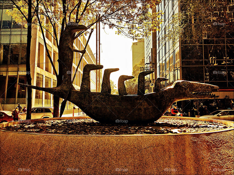 A stroll through Mexico City