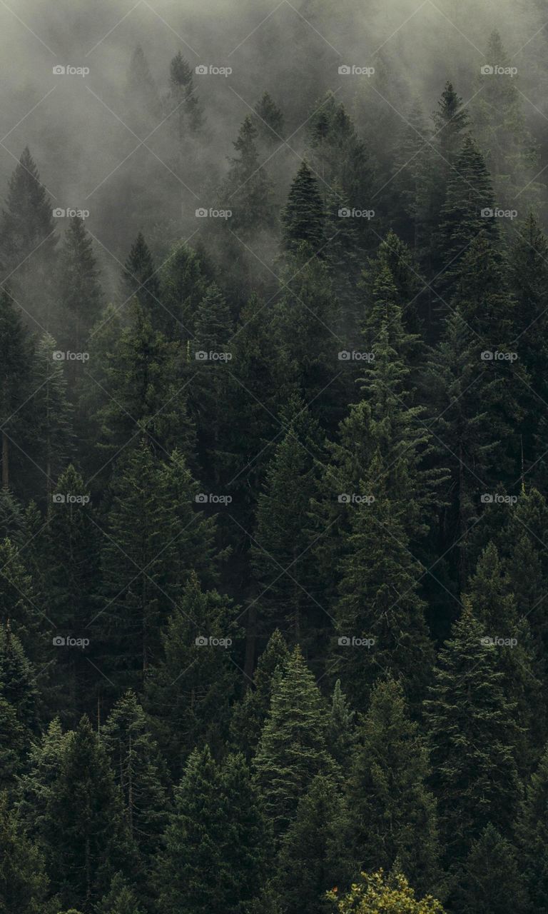 Naturel beauty place