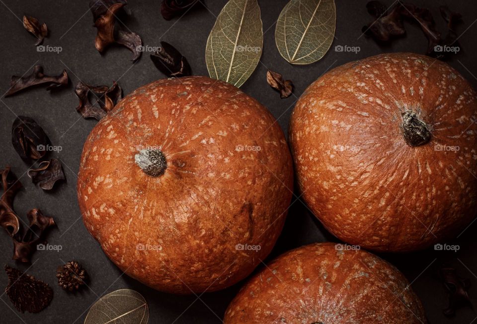 Three pumpkins with skeleton leaves and dried plants