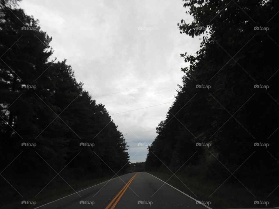 Road, No Person, Tree, Highway, Landscape