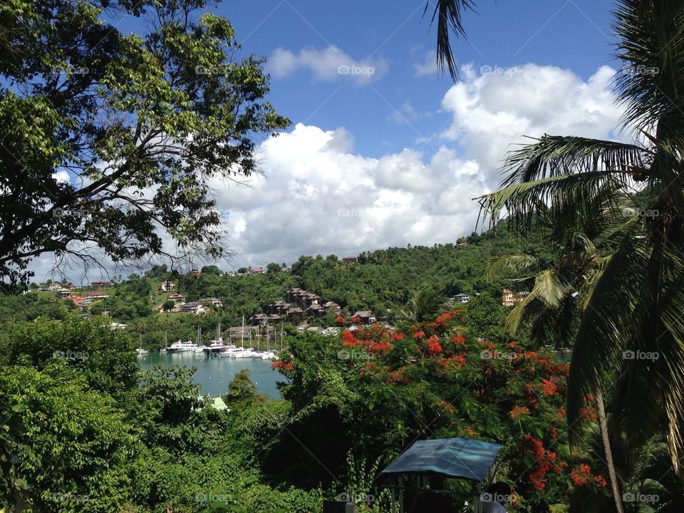 Marigot Bay, Saint Lucia