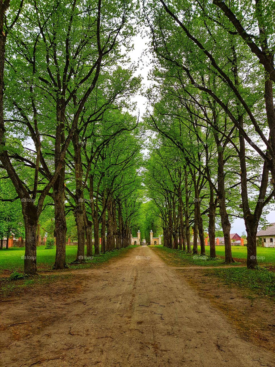 Symmetrical path.