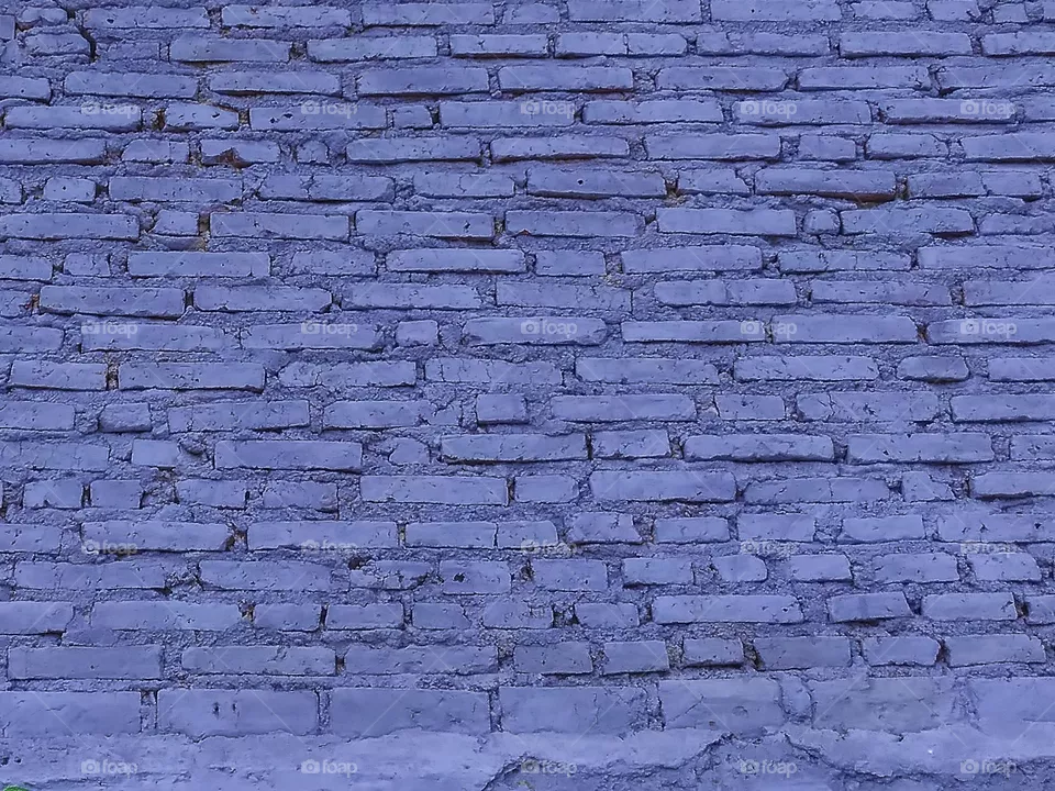 the wall