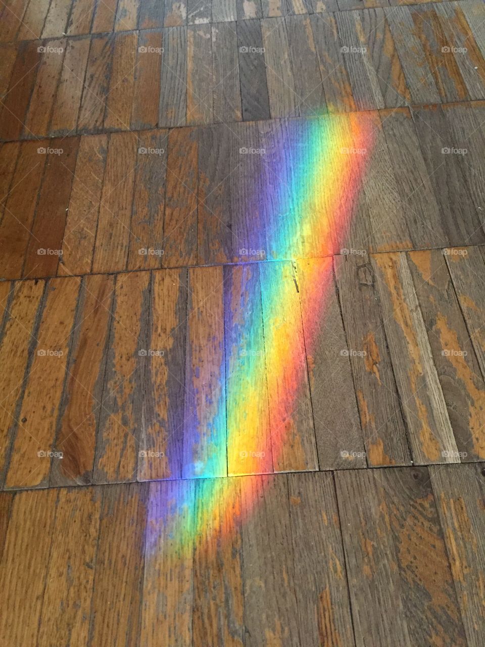 Parquet floor home rainbow