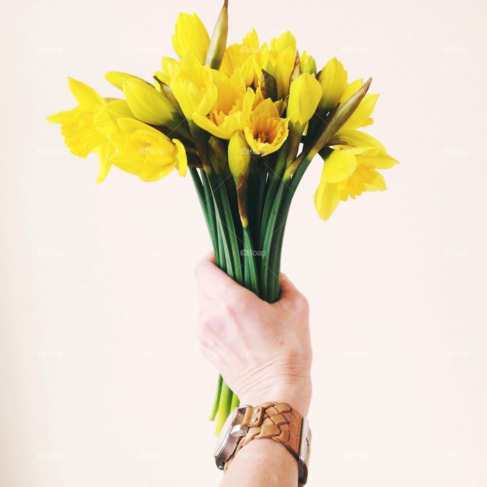 Daffodils