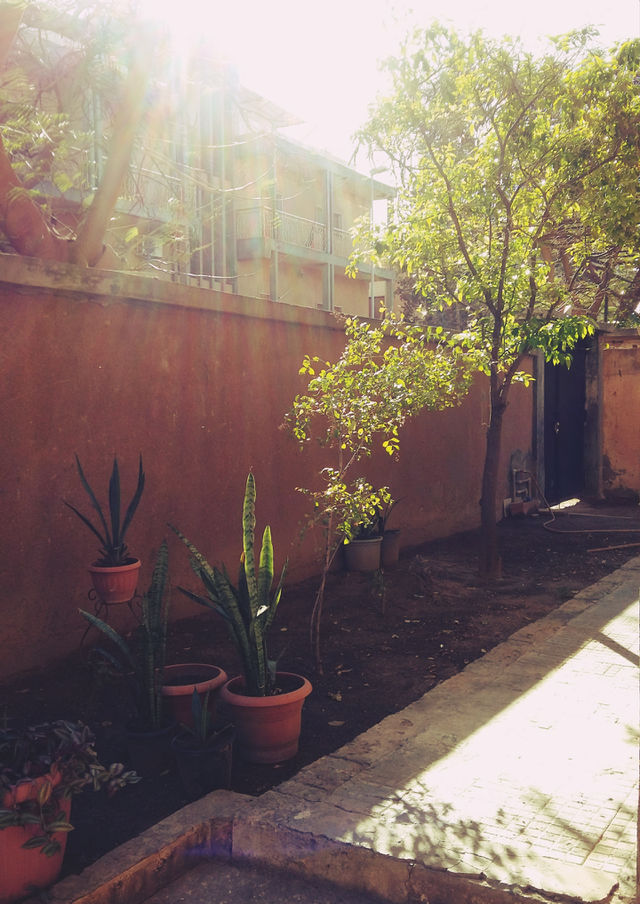 light from Sunshine