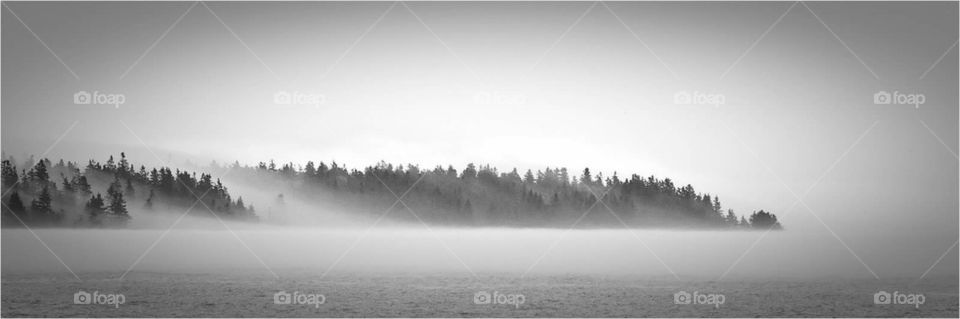 Morning mist over Acadia