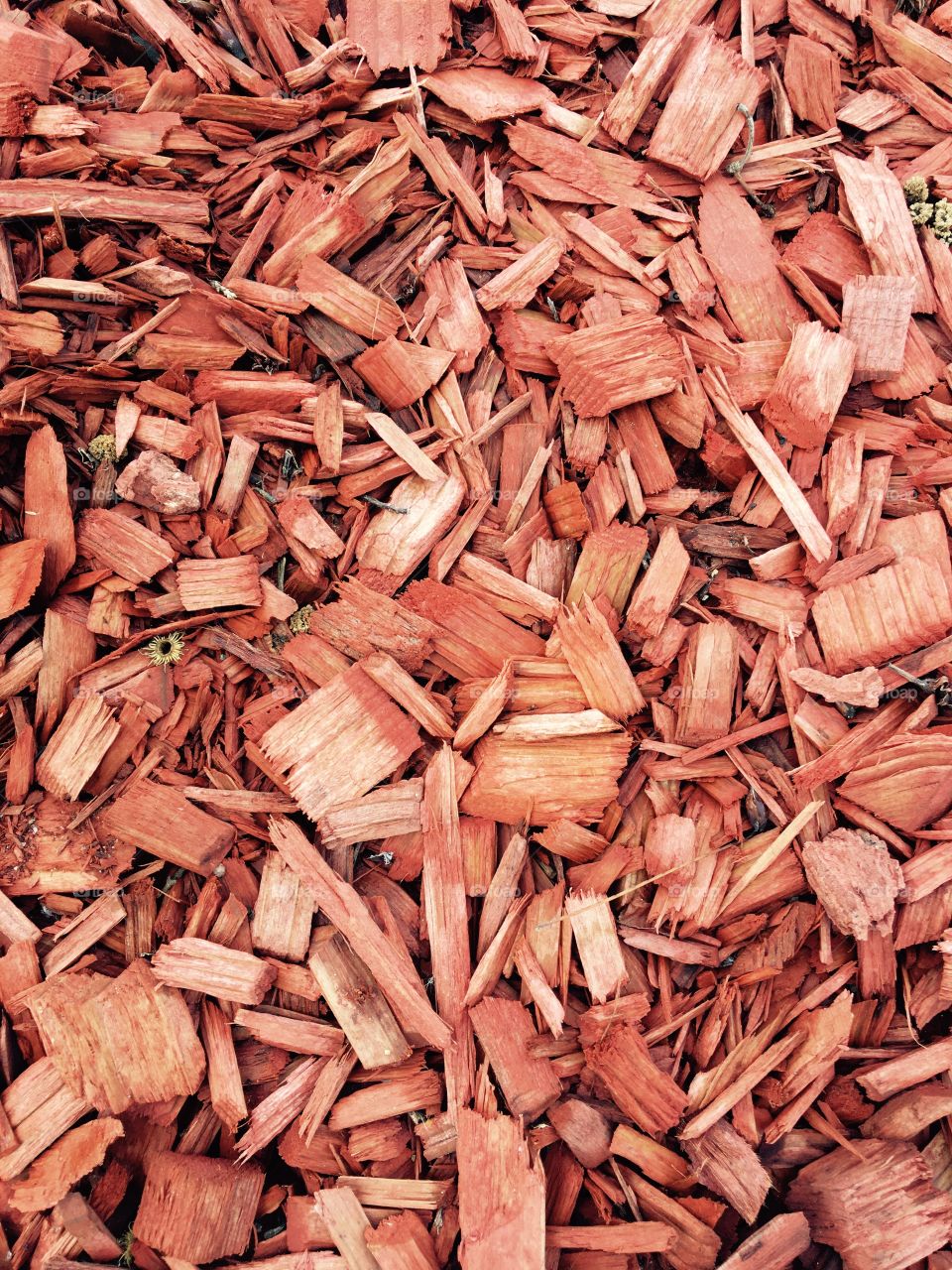 Wood chips